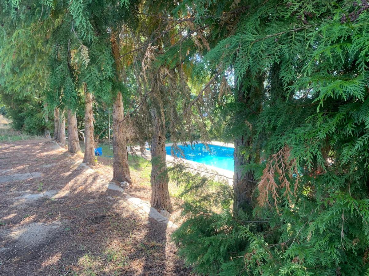 Casa De Pereiras, Vimioso Villa ภายนอก รูปภาพ